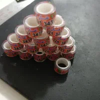 پلاک کبوتر 6/5 میل کاشون شهرضا نائین اردستان اژیه