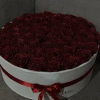 گل روبانی|گل مصنوعی|تهران, آبشار تهران (دریاچه)|دیوار