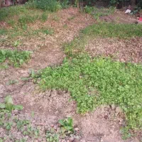 ۲باب مغازه ۲۵متری جهت اجاره