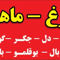 سوپر پروتئین ابوالفضل کرمی مرغ ماهی