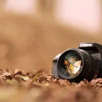 استخدام عکاس خانوم