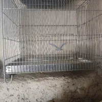 سه عدد قفس پژواند