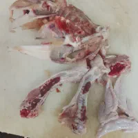 ضایعات مرغ
