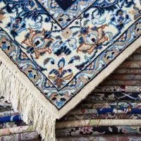 قالیشویی مبل شویی تاپ رفوگری و ریشه بافی|خدمات نظافت|تهران, خواجه نظام الملک|دیوار