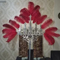 علامت سردمی