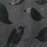 روسری مینی اسکارف|لباس|فردیس, شهرک ارم|دیوار