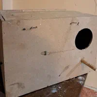 لانه چوبی پرنده عروس هلندی