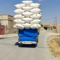 کاه گندم دیم درجه ۱ تضمینی