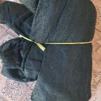 گونی سبز، سایه بون