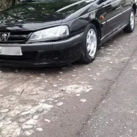 پارس، 82 عروسک