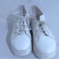 کفش|کیف، کفش، کمربند|نیشابور, خط کاشمر|دیوار