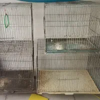 قفس نو و دست دو مناسب انواع پرنده سنجاب سگ مرغ|لوازم جانبی حیوانات|رشت, جهاد|دیوار