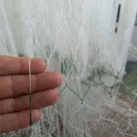 سفارش ماشک|ماهیگیری|تالش, هشتپر|دیوار