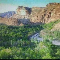 فروش باغ میوه