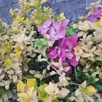 تدریس خصوصی