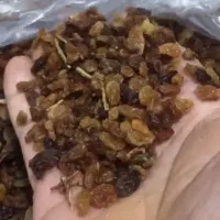 کشمش آفتابی کاشمر|خوردنی و آشامیدنی|قائم‌شهر, |دیوار