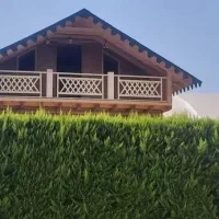 استخدام نیروی ماهر و نیمه ماهر نجار