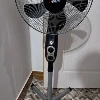 پنک ایستاده سالم ونو