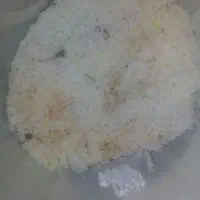 برنج برای مرغ