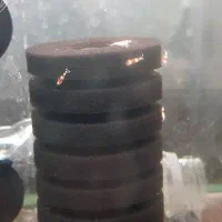 فروش ماهی و شریمپ و وسایل اکواریوم