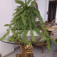 گلهای مصنوعی خارجی