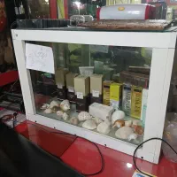 آکواریوم نو