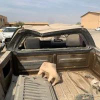 خودرو|خودرو سواری و وانت|دیلم, |دیوار