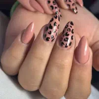 ناخنکار حرفه ای محدوده نایسر