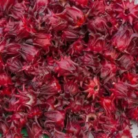 چای ترش غنچه داری