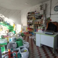 دان پرندگان و ملزومات انواع پرندگان