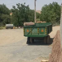 کاه گشنیز سبز