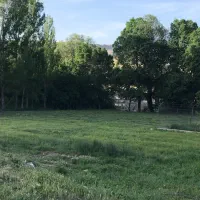 زمین زراعی روستای رند