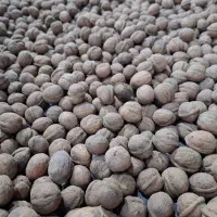 گردوی درجه یک تویسرکان