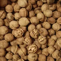 گردو درجه یک