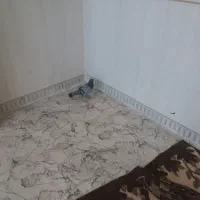 کبوتر سیمانی