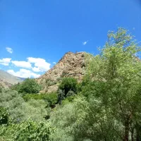 فروش-زمین-دیوزند