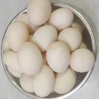 تخم اردک و مرغ