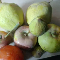 باغ ۱۰۰۰متری