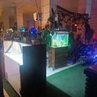 نیروی کافه رستوران