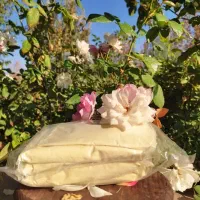 ارگانیک سرا|خوردنی و آشامیدنی|شیراز, گلستان|دیوار