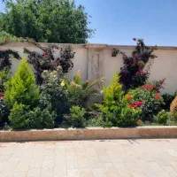 فروش-باغچه-ویلا-400-متری-گلزار-لاکچری