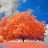 لطفا راهنمایی کنید