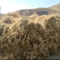 یونجه بسته بندی با دست