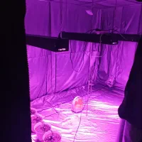 لامپ ال ای دی و باکس رشد گیاه