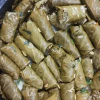 دلمه کلم و برگ