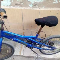 دوچرخه حرفه ای ۲۰|دوچرخه، اسکیت، اسکوتر|شادگان, |دیوار