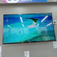 تلوزیون