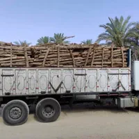 خریدار انواع درخت وچوب،هرس و برش با اره بنزینی|خدمات باغبانی و درختکاری|بندرعباس, |دیوار