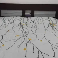 ست کامل تخت دونفره با دوتا پا تختی ومیزآرایش وکمد|تخت و سرویس خواب|مشگین شهر, |دیوار