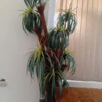 درخت نخل ۹شاخه|گل مصنوعی|فسا, |دیوار